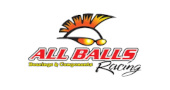 ALL BALLS RACING